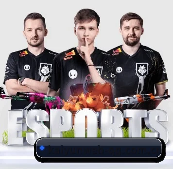开云官网 APP(KAIYUN)